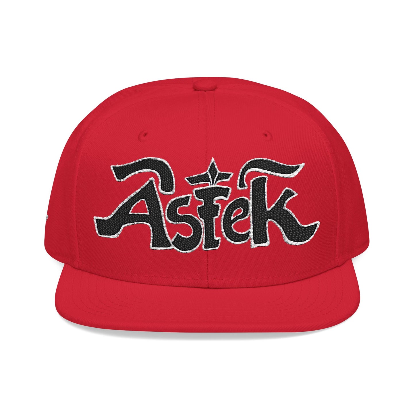 Astek Logo Embroidered Snapback Cap