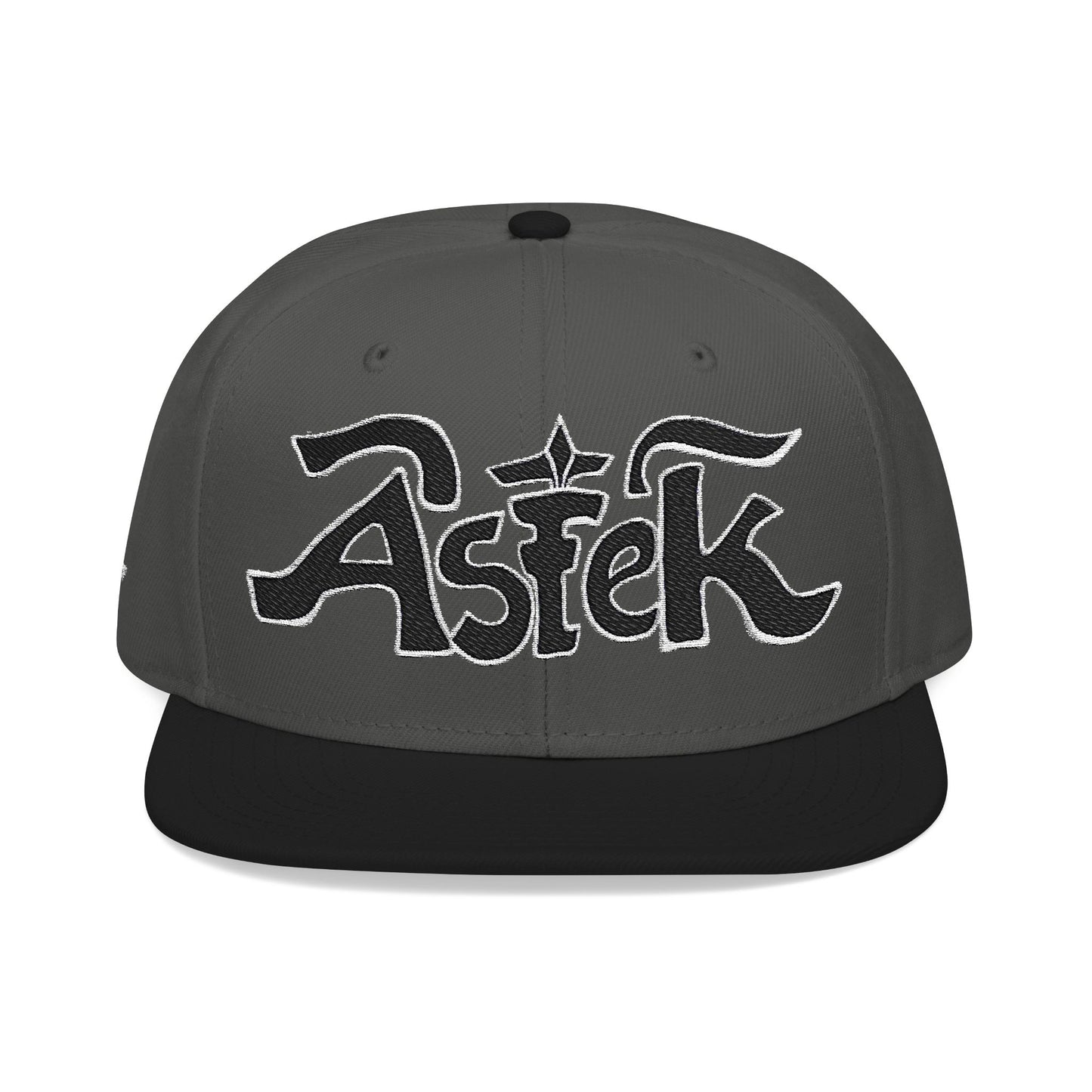 Astek Logo Embroidered Snapback Cap