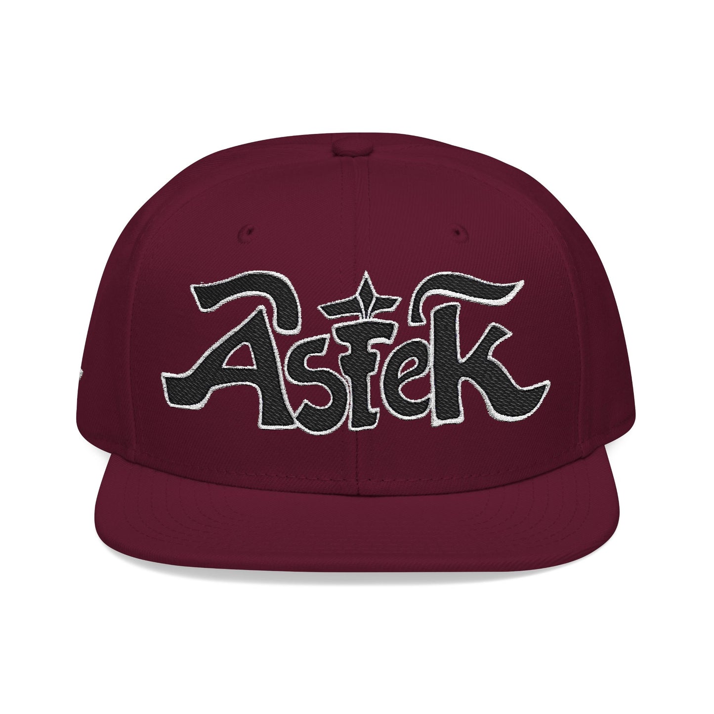 Astek Logo Embroidered Snapback Cap
