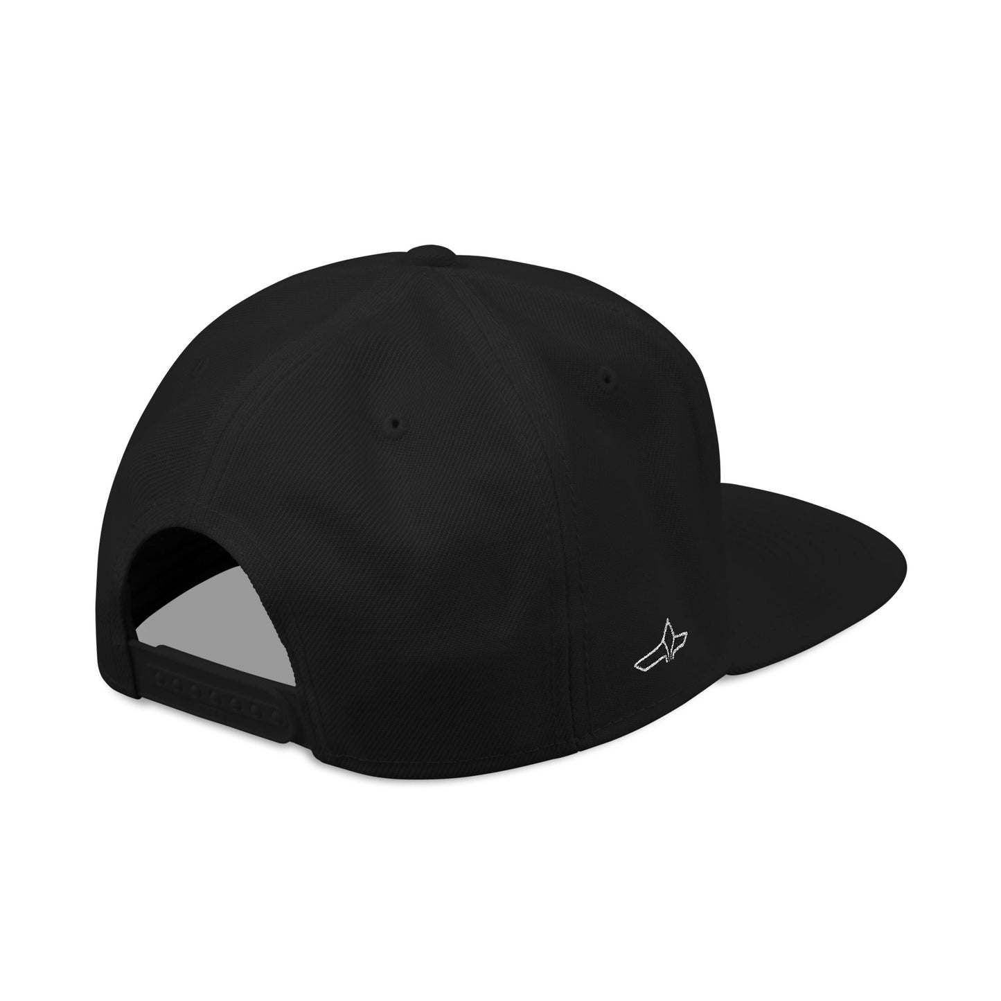 Astek Logo Embroidered Snapback Cap