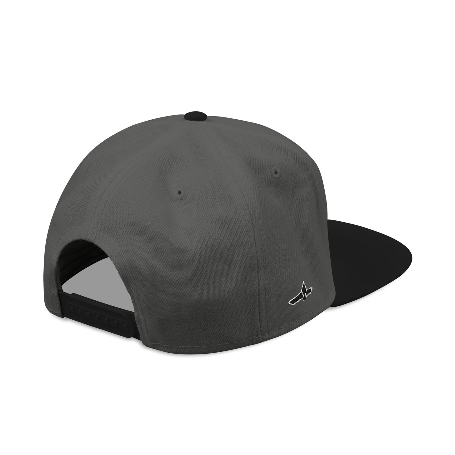 Astek Logo Embroidered Snapback Cap