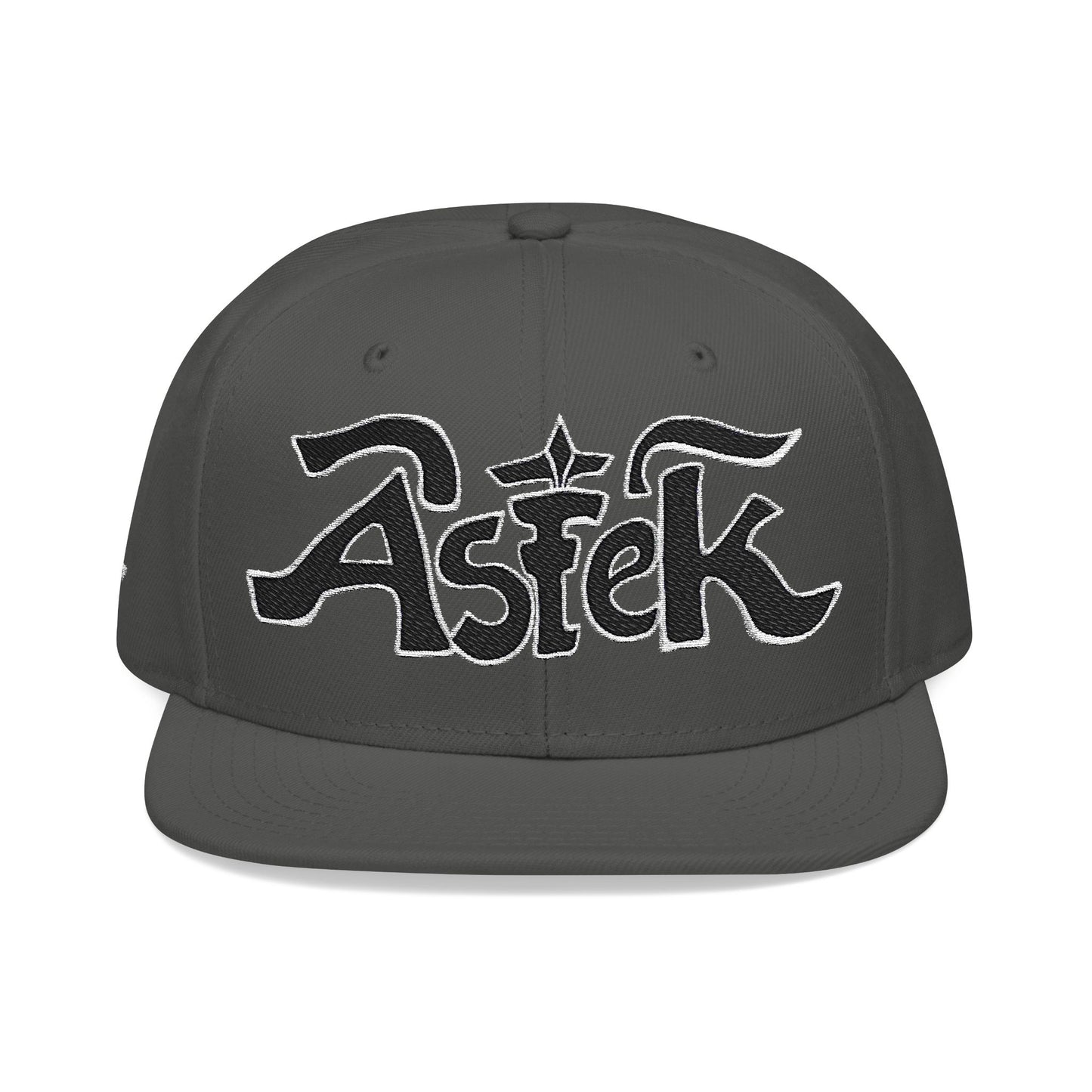 Astek Logo Embroidered Snapback Cap