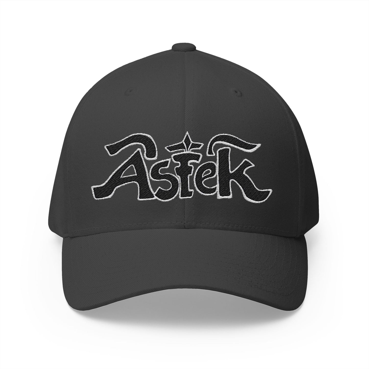 Astek Logo Embroidered Cap