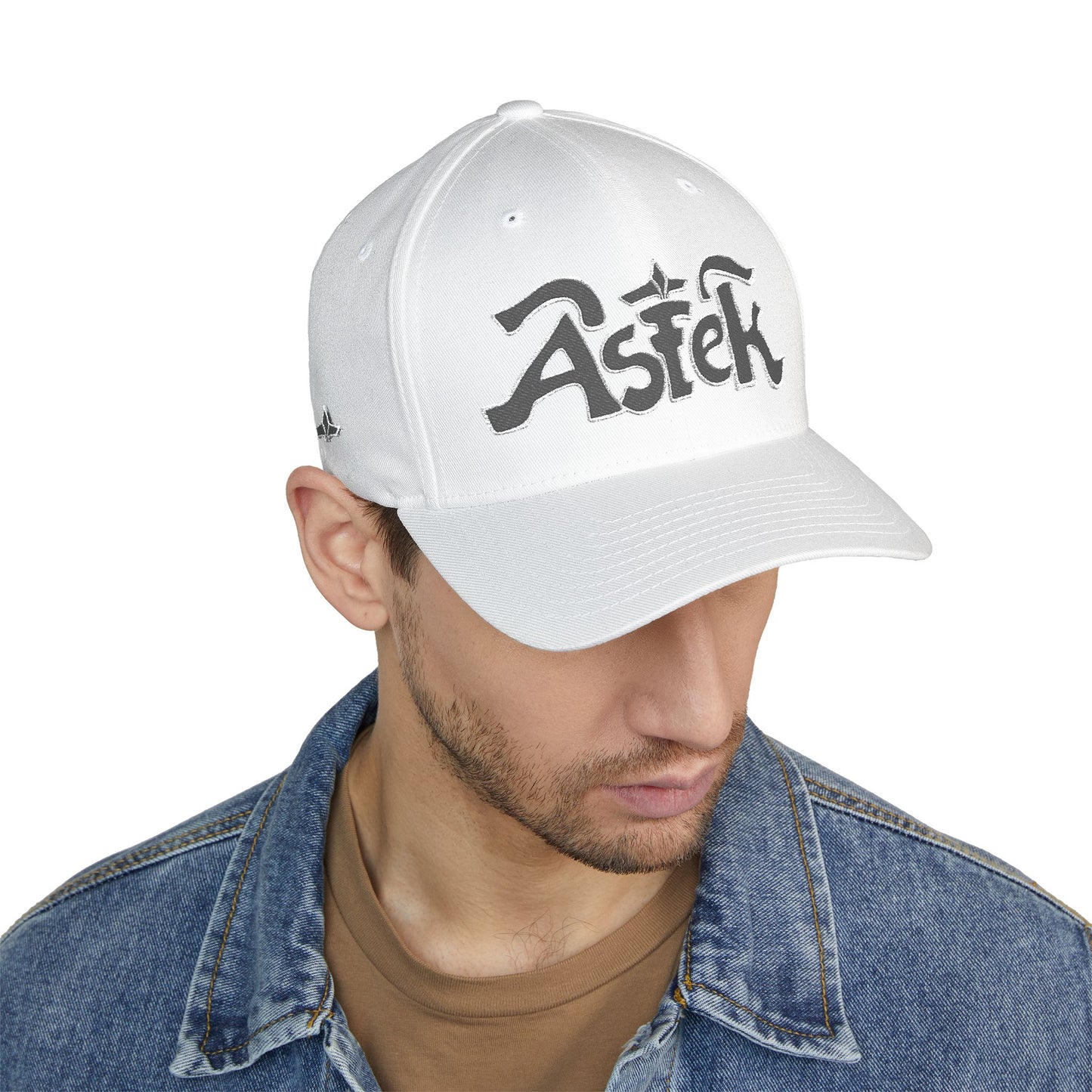 Astek Logo Embroidered Cap